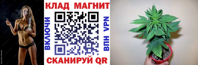 Как найти наркотики Губкин Гашиш  COCAIN  МЕФ 