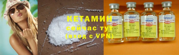мдпв Инсар