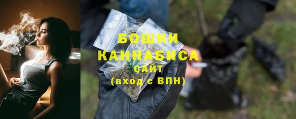 индика Заволжск