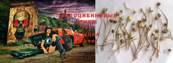 СК Балахна