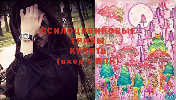 СК Балахна